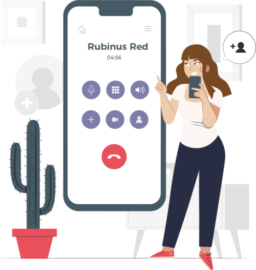 Asesoría-Rubinusred